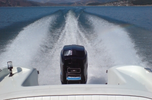 MERCURY- BLACK MAX-150